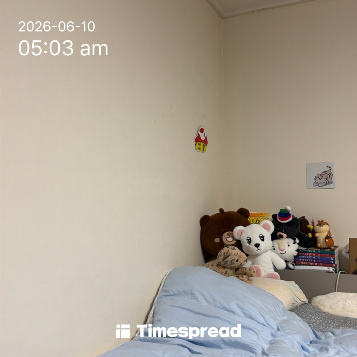 board-img