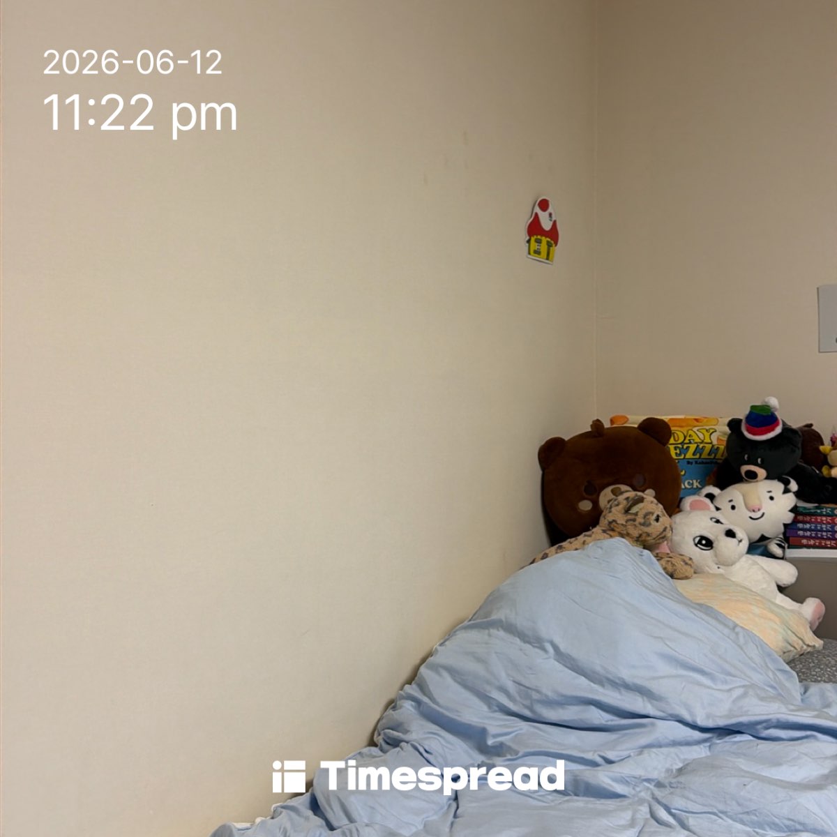 board-img