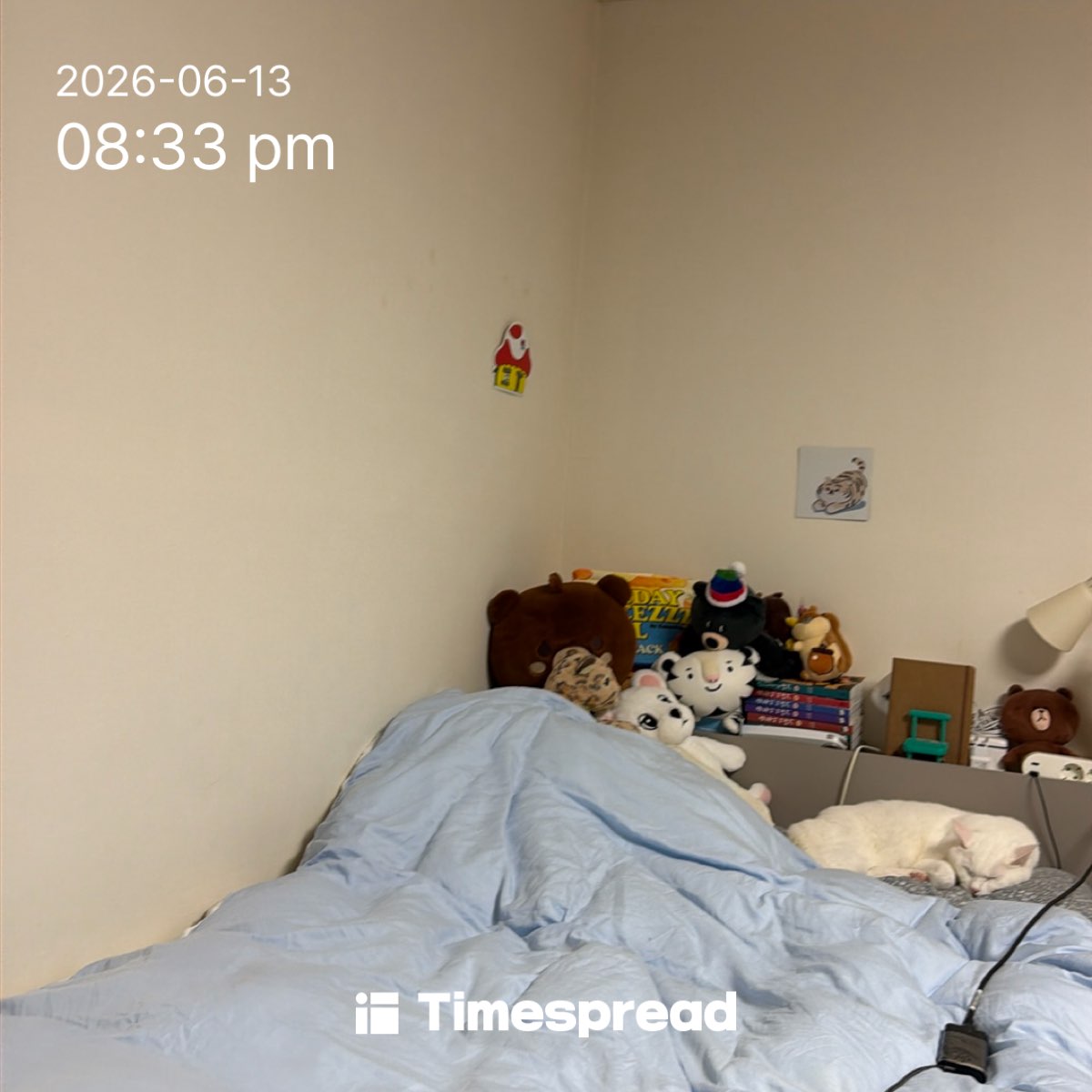 board-img