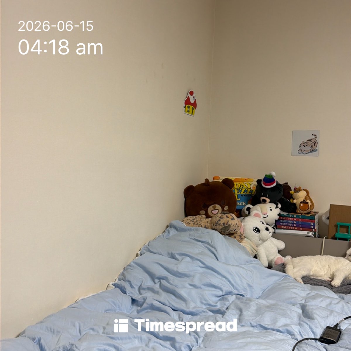 board-img