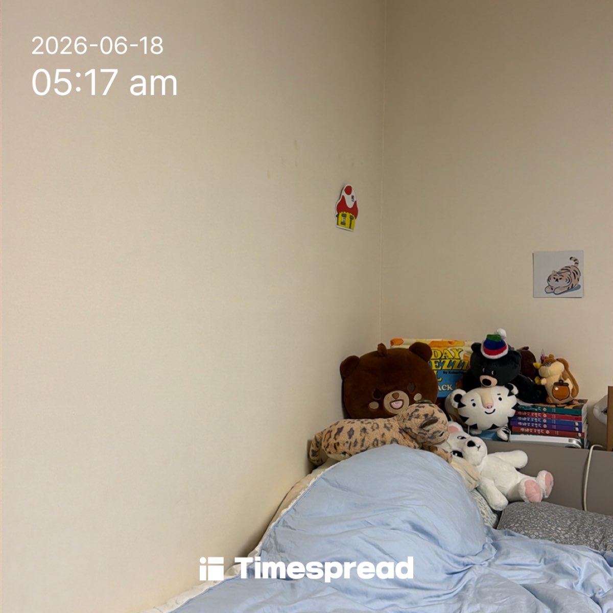 board-img