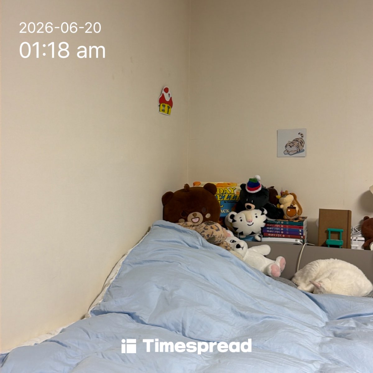 board-img