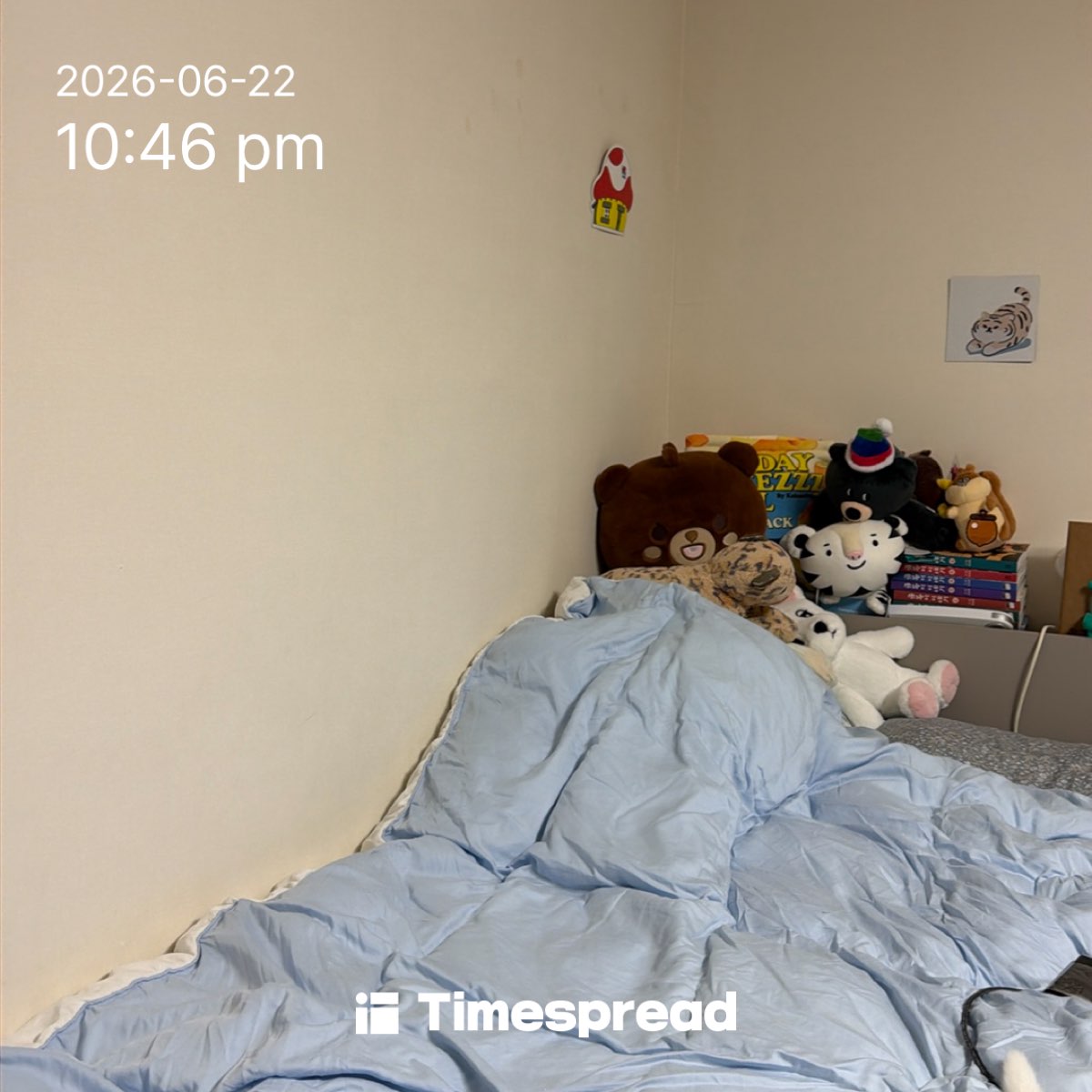 board-img