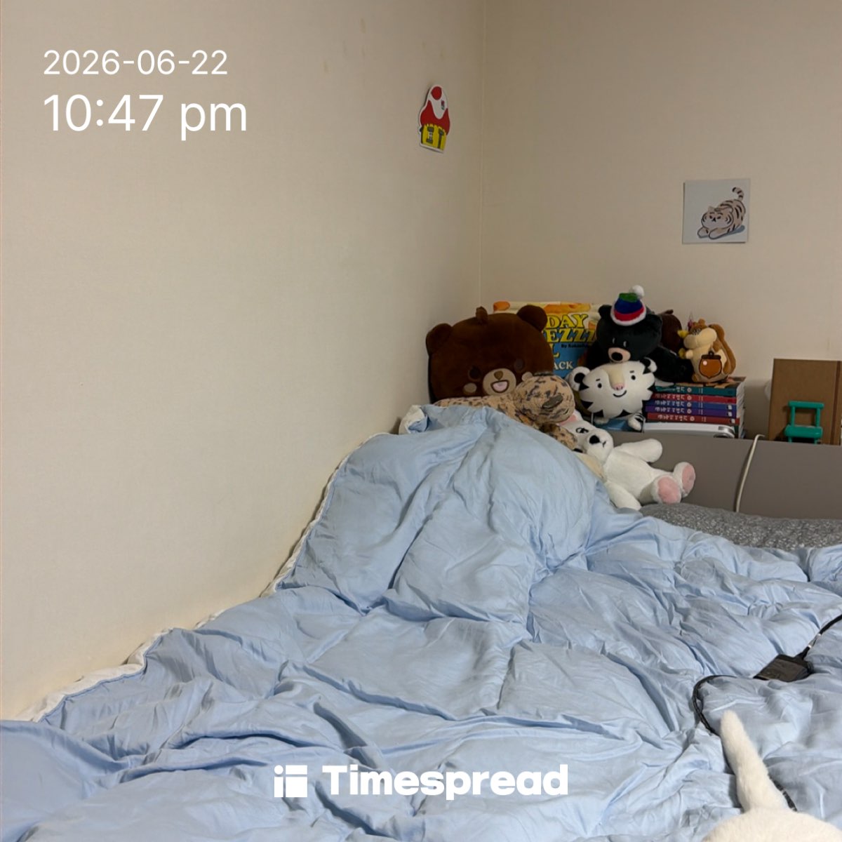 board-img
