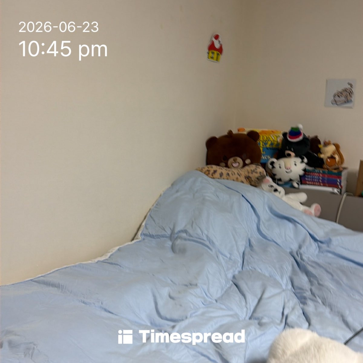 board-img