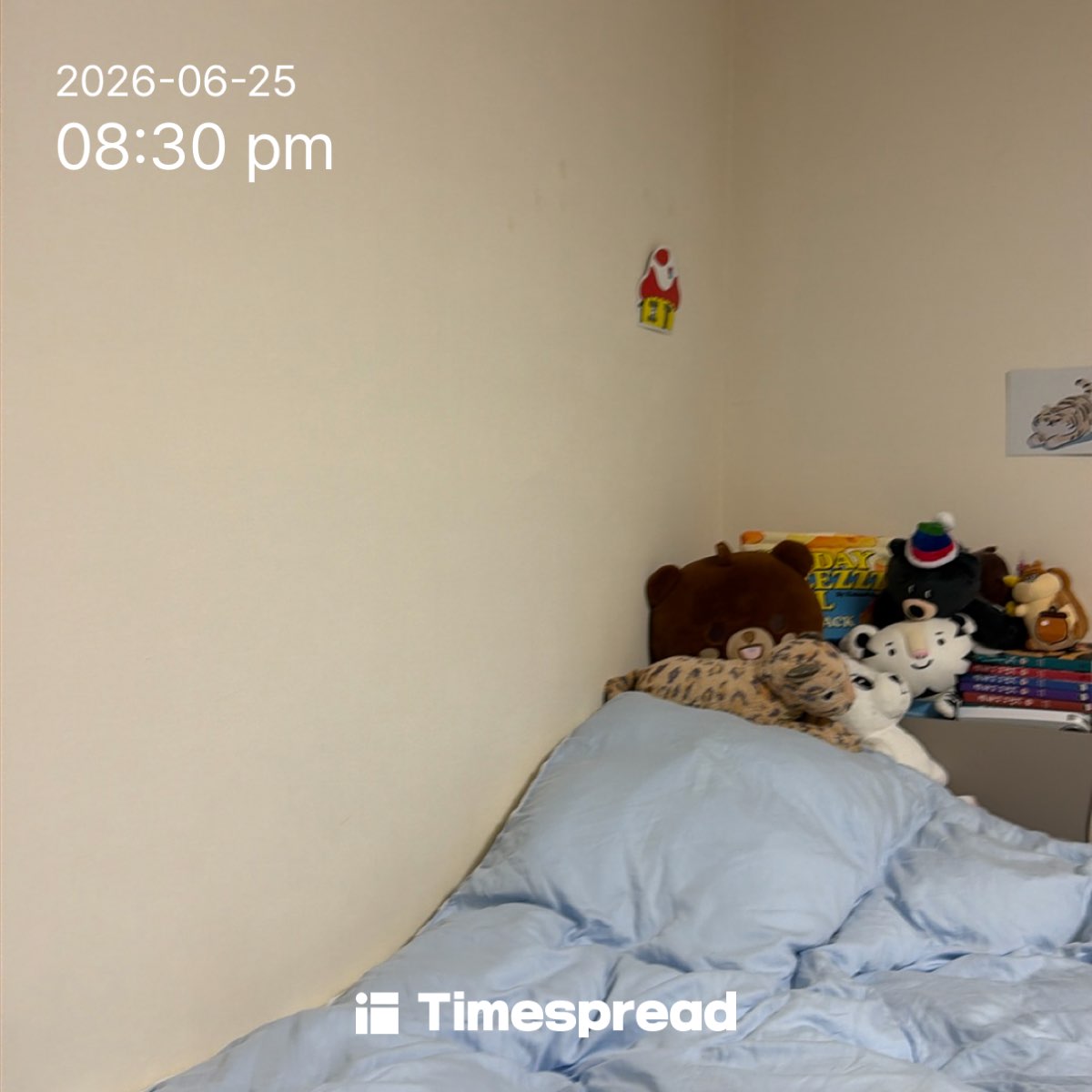 board-img