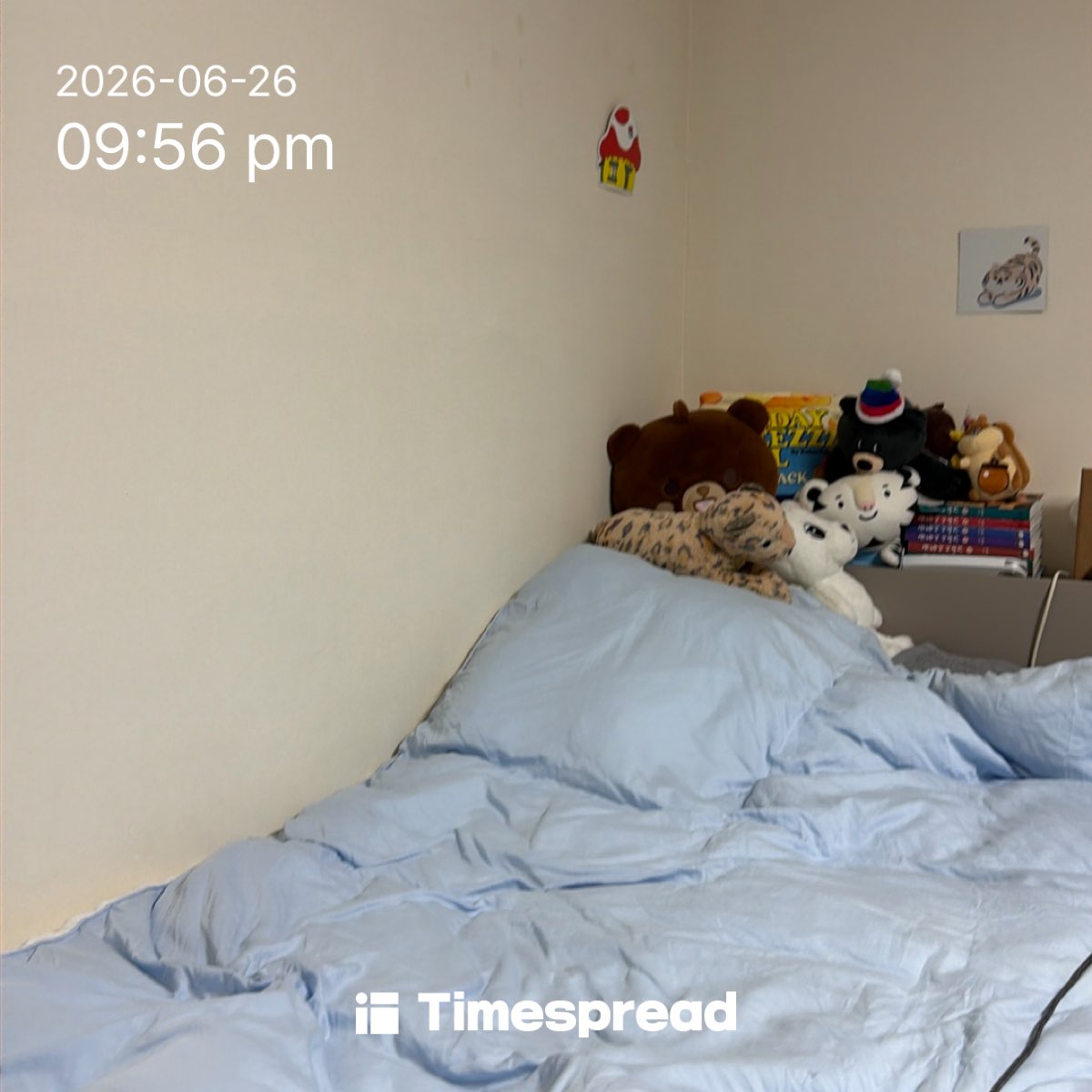 board-img