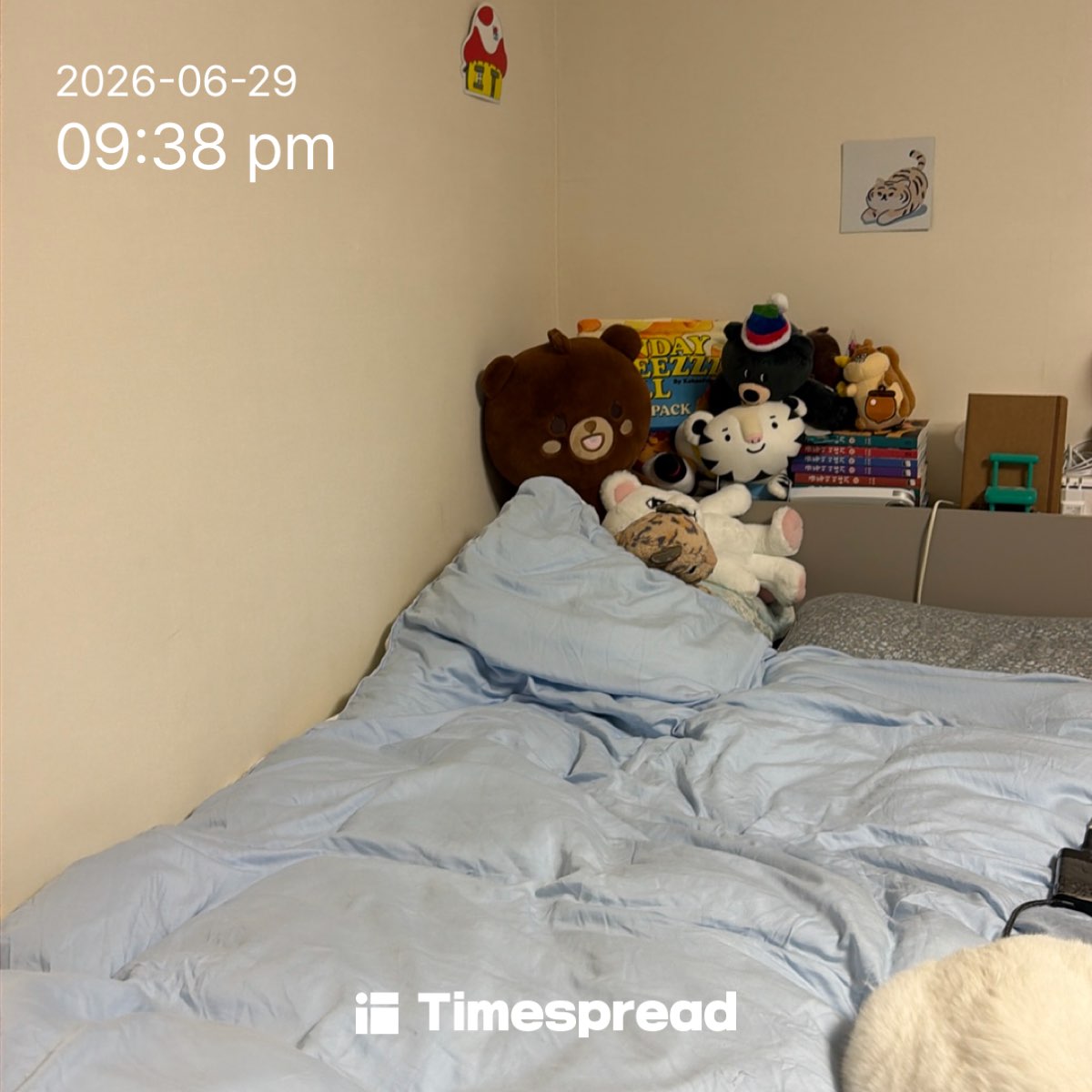 board-img