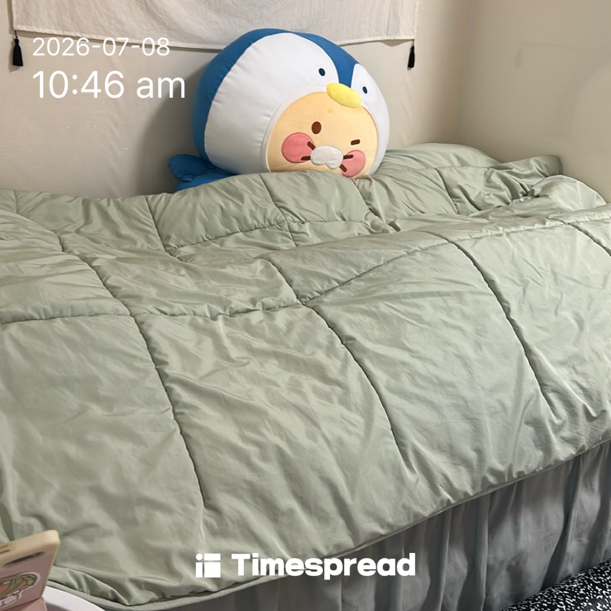 board-img
