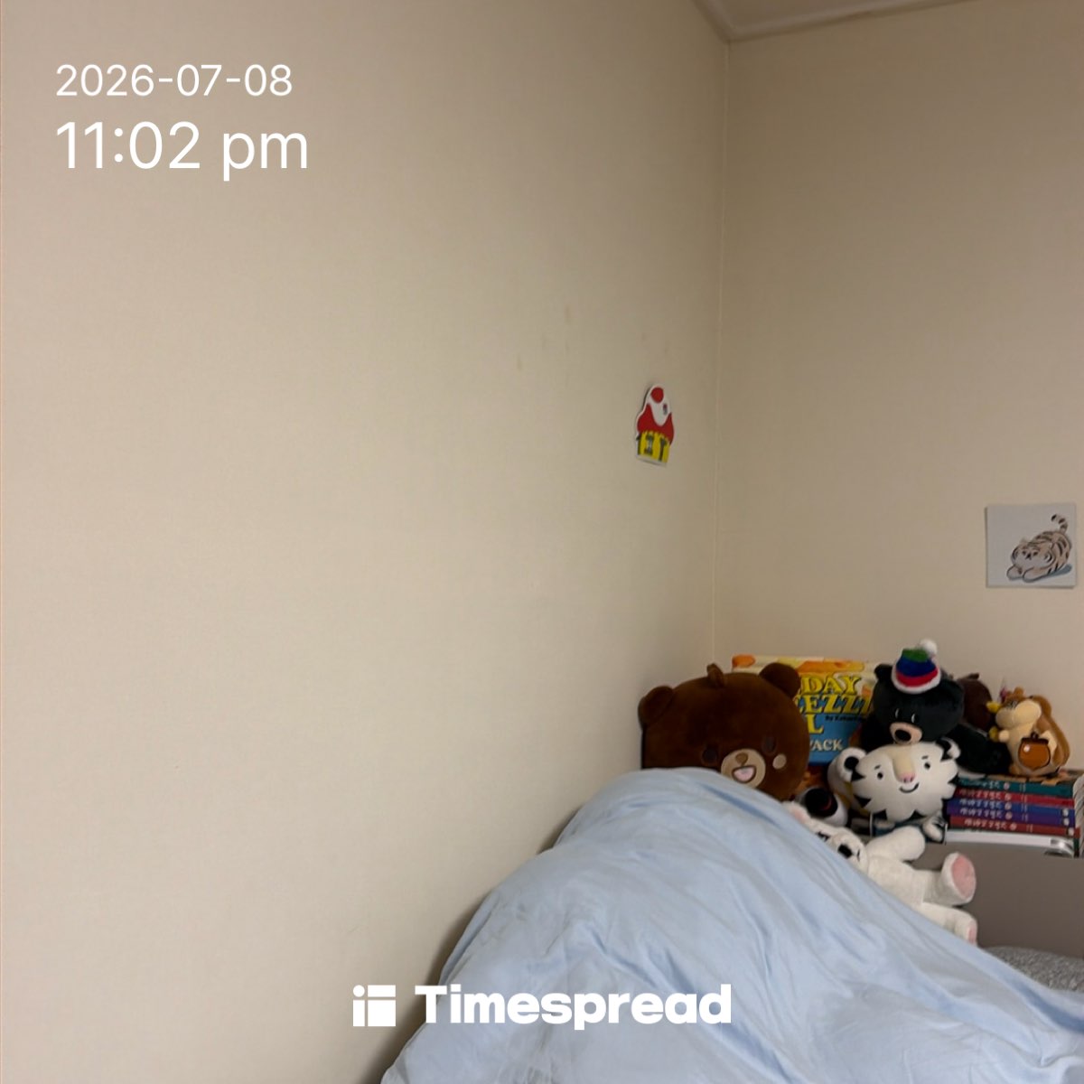 board-img