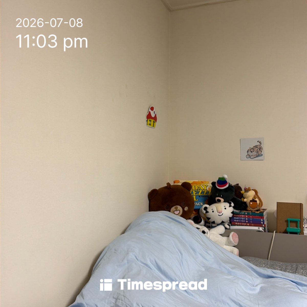 board-img