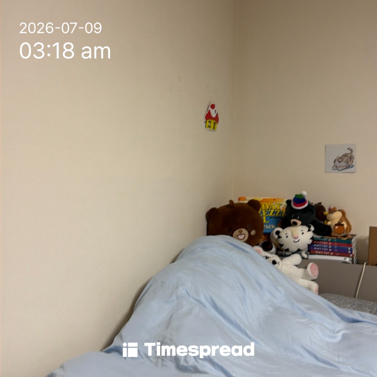 board-img