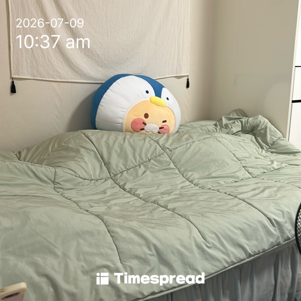 board-img