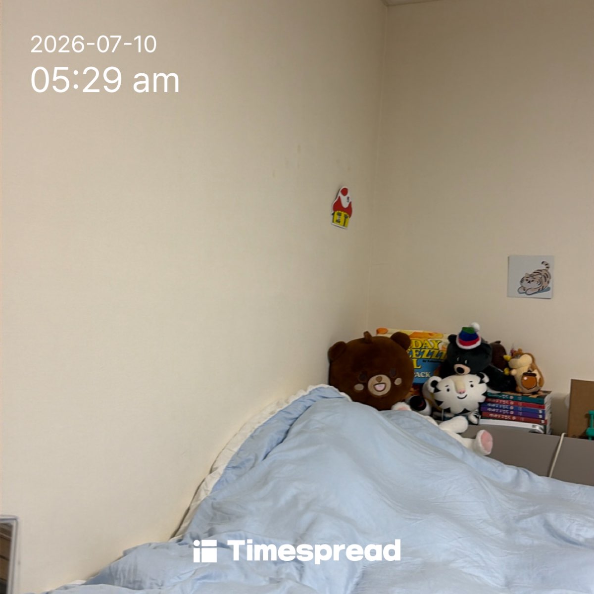 board-img