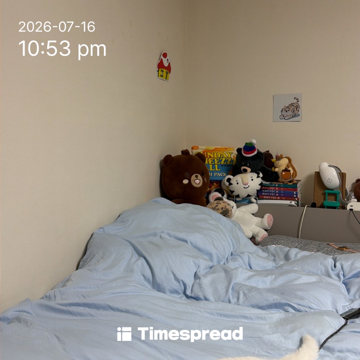 board-img