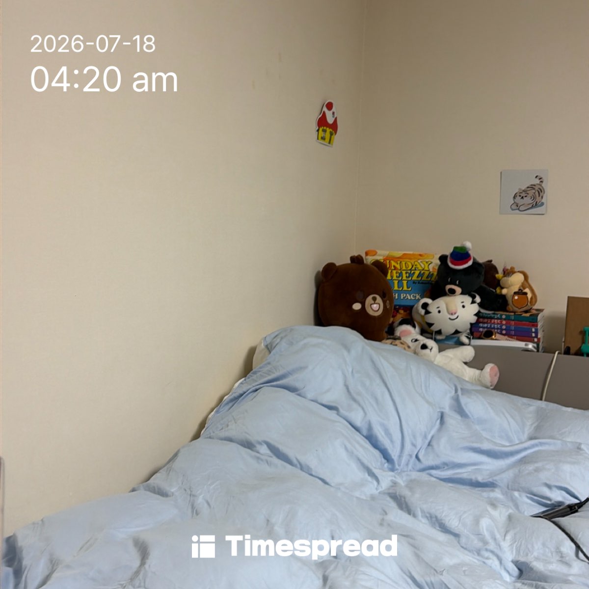 board-img