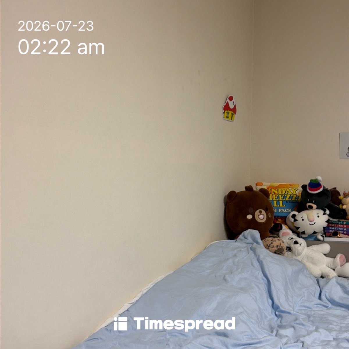 board-img