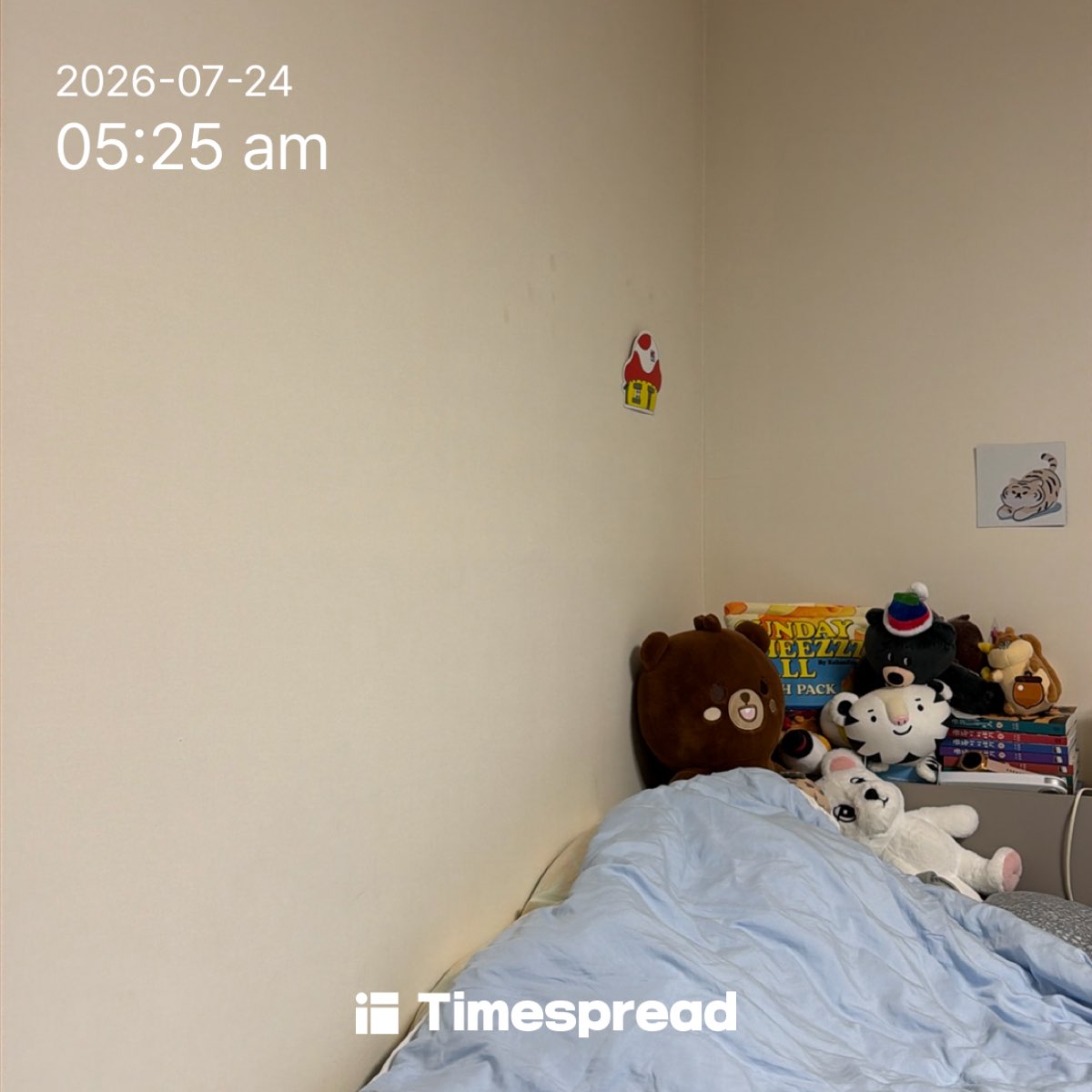 board-img