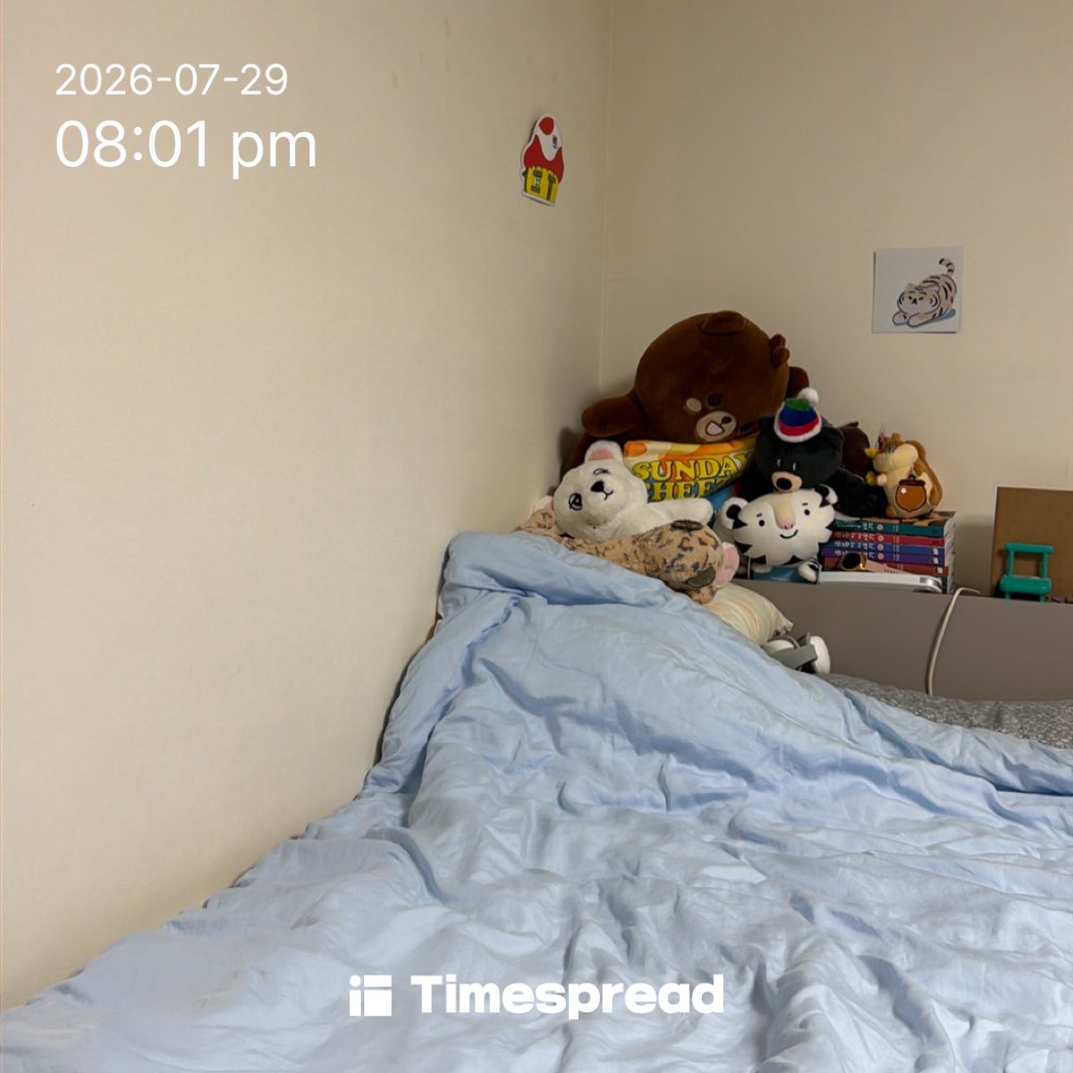 board-img