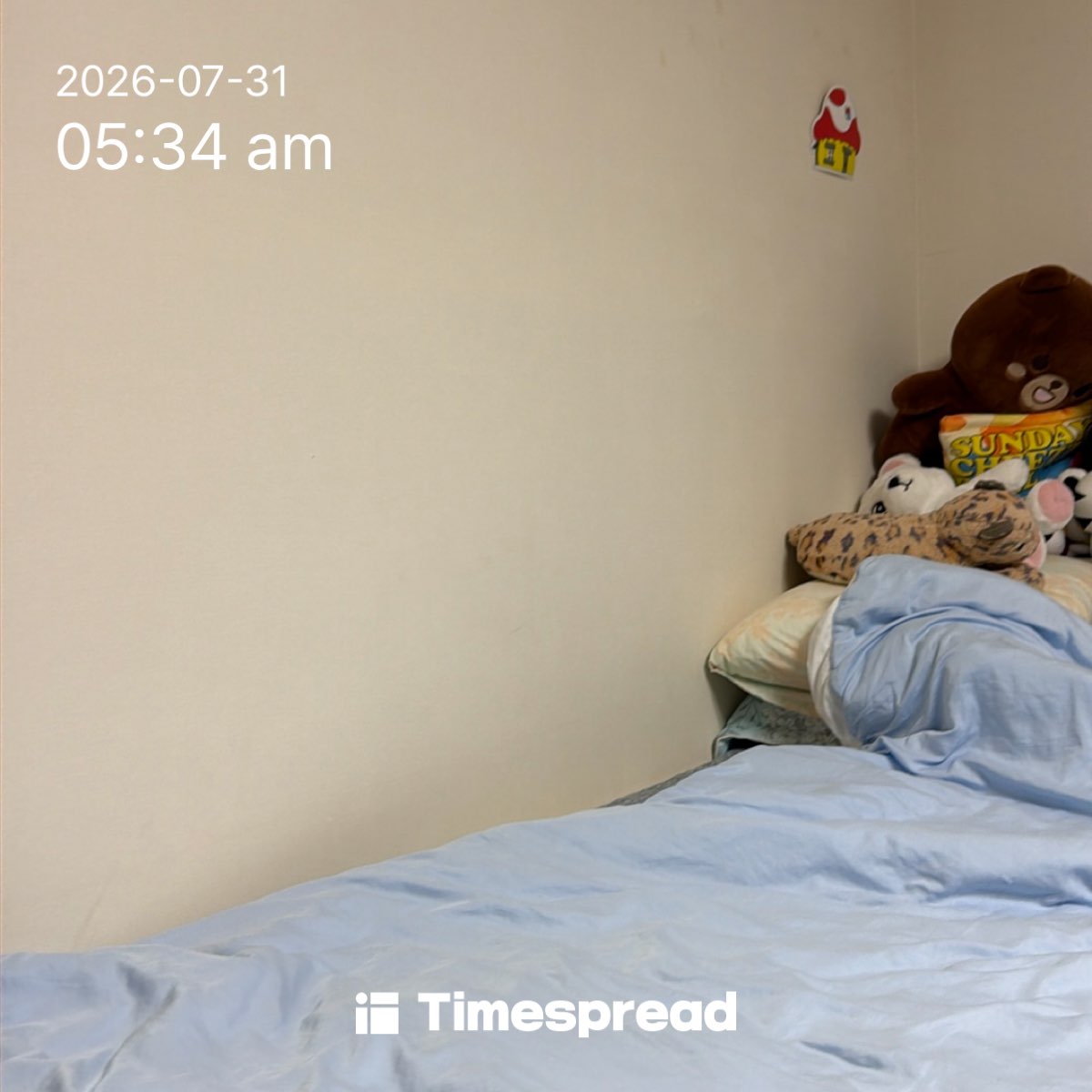 board-img