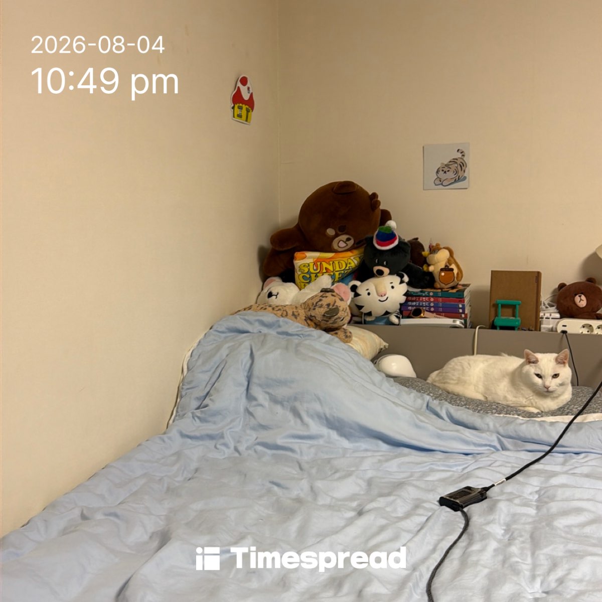 board-img