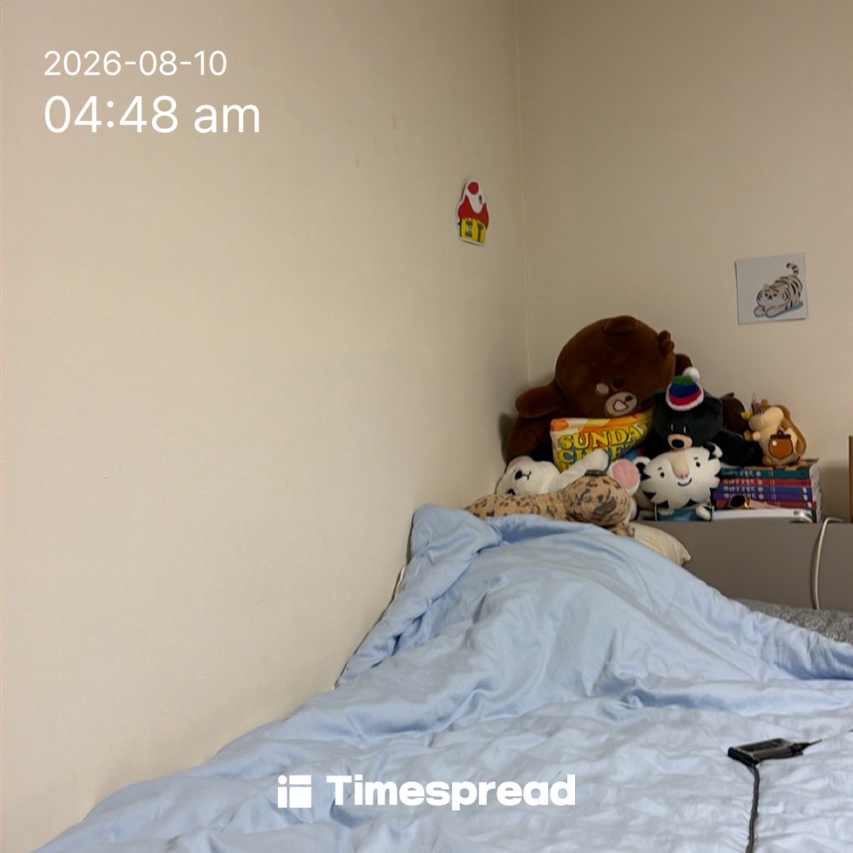 board-img