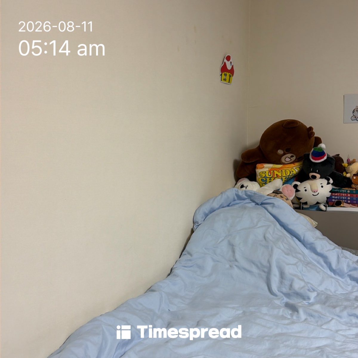 board-img