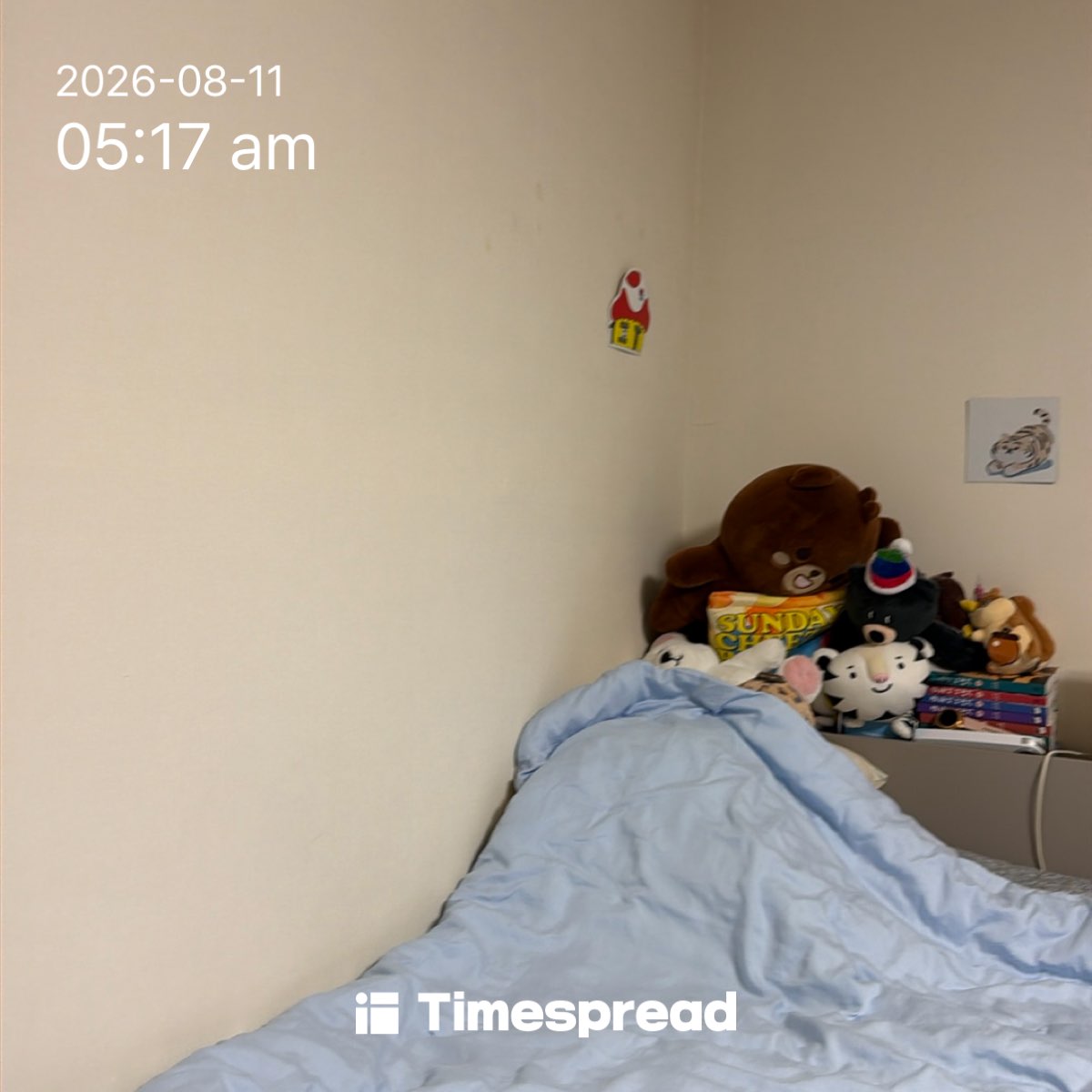 board-img