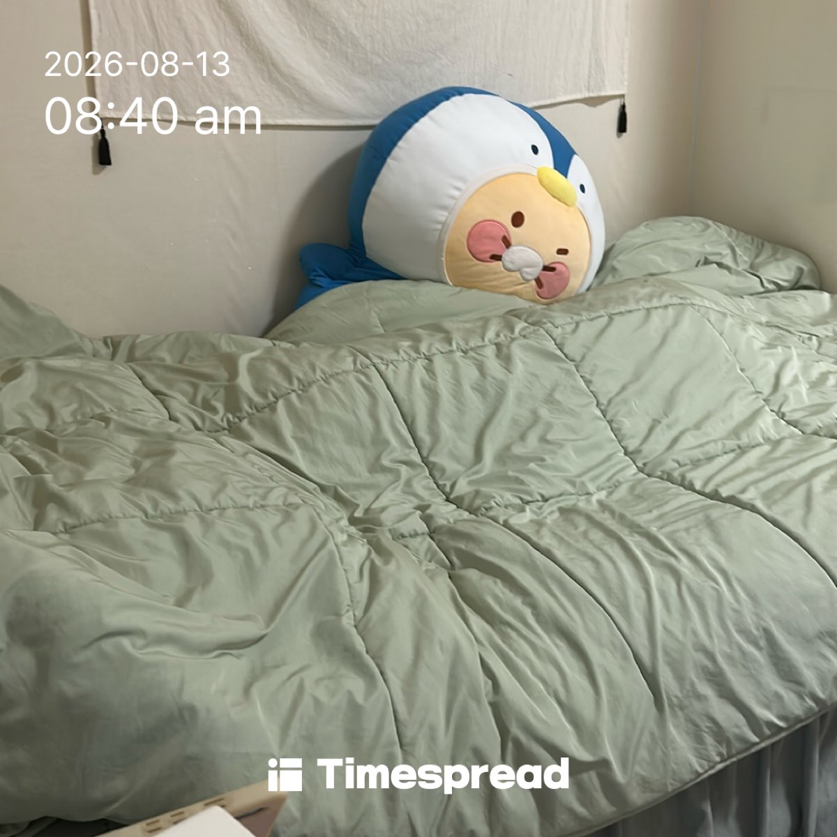 board-img
