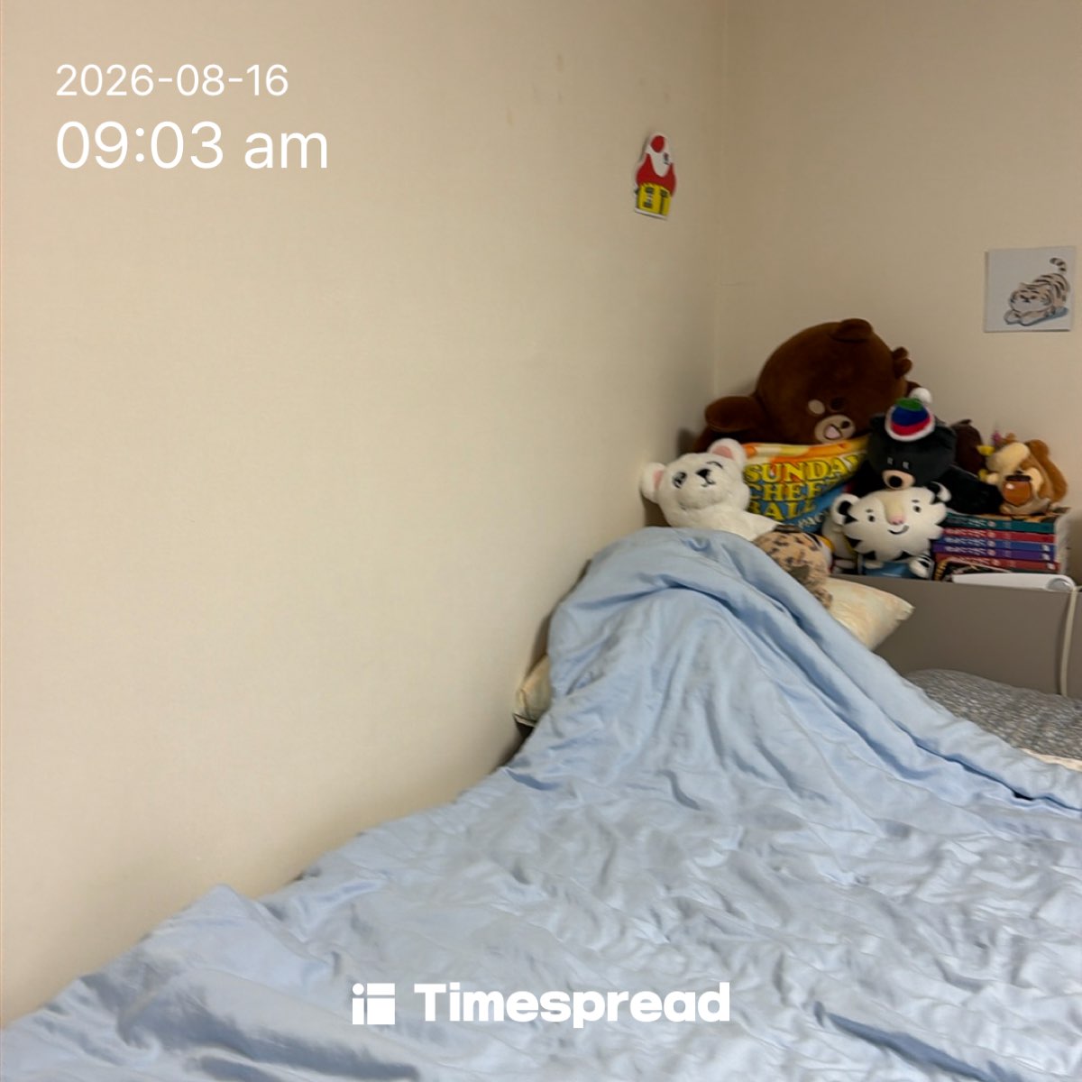 board-img