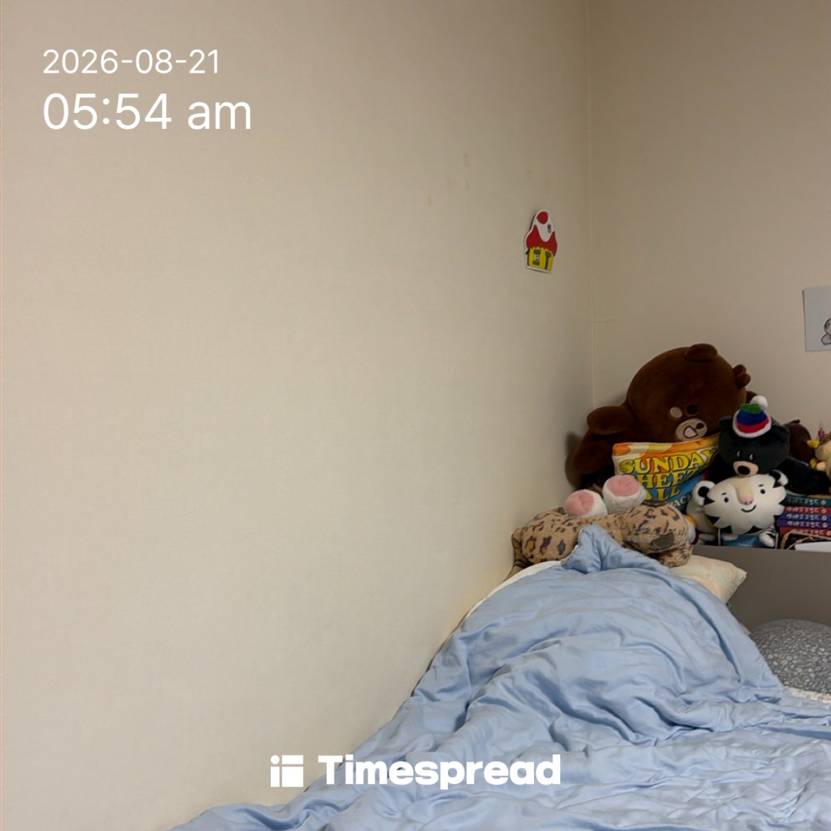 board-img