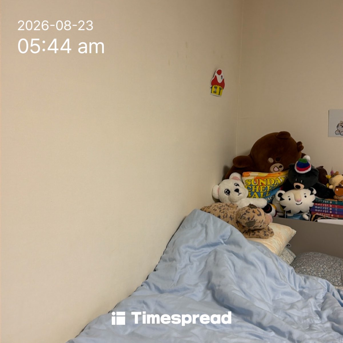 board-img