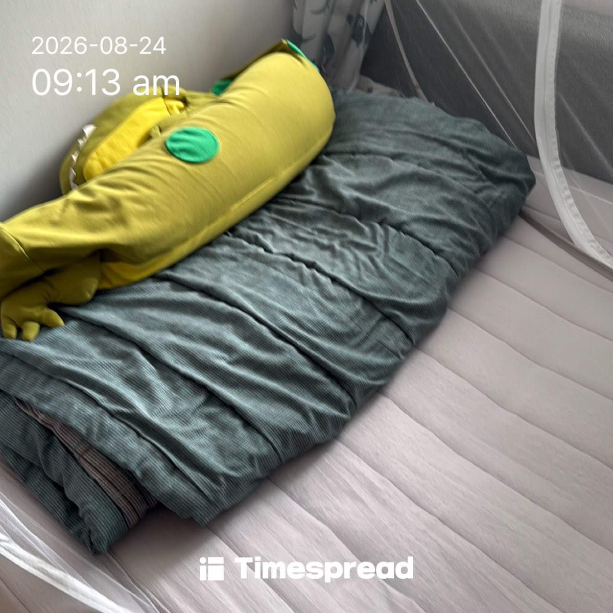 board-img