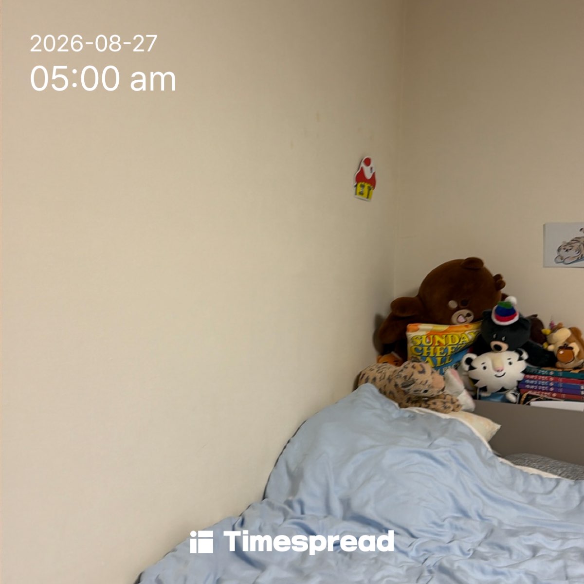 board-img
