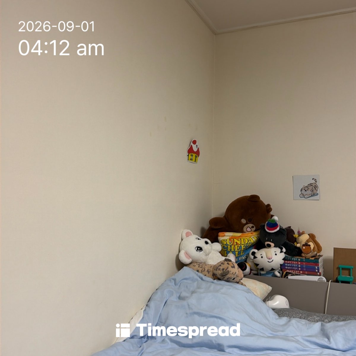 board-img
