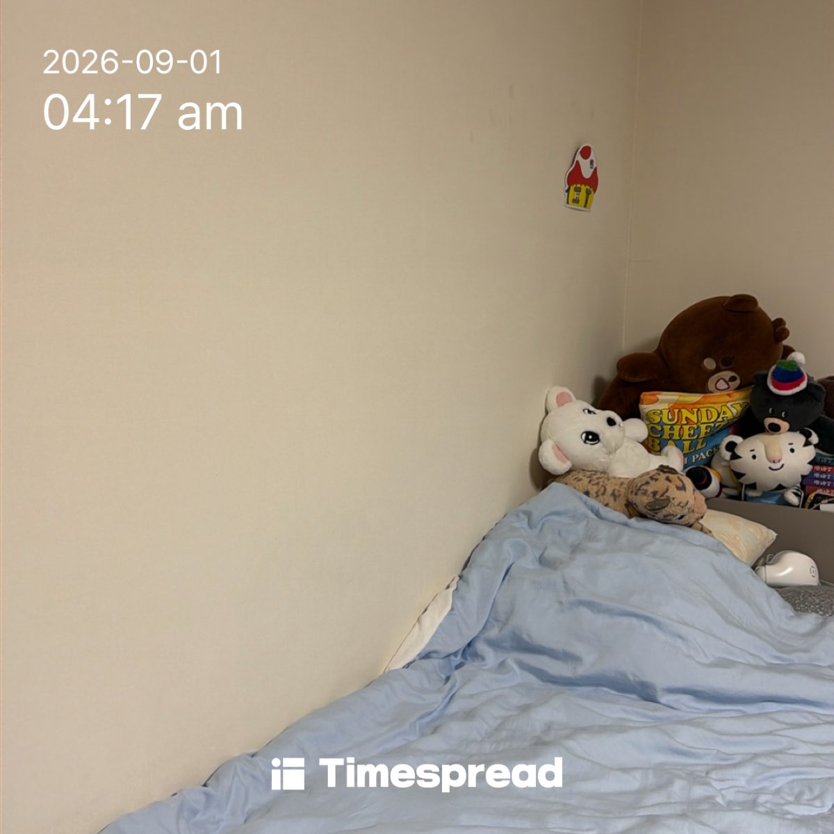 board-img
