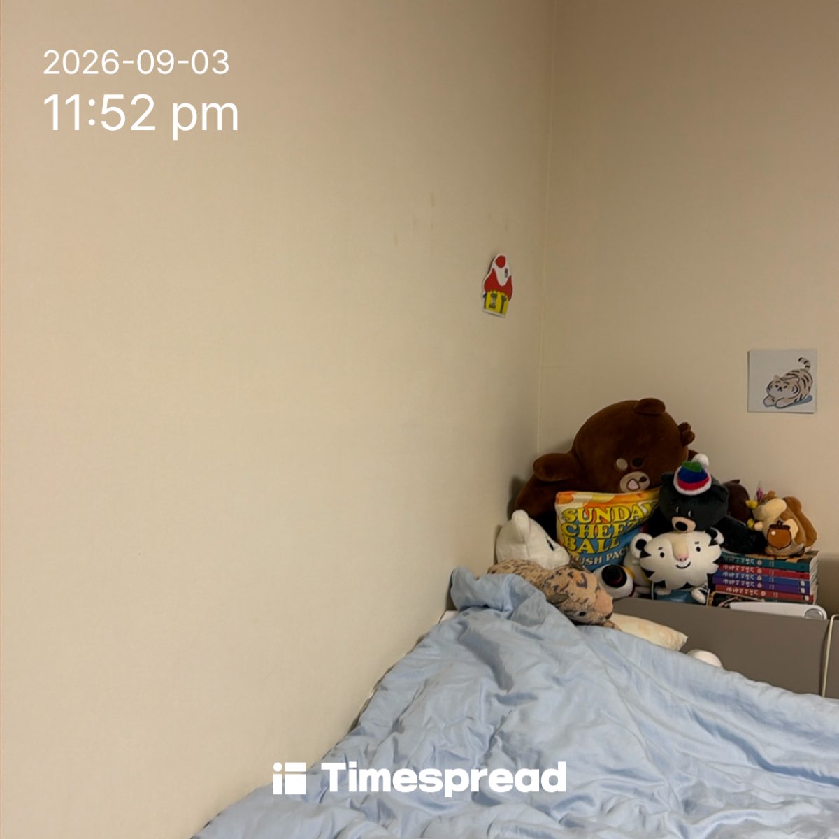 board-img