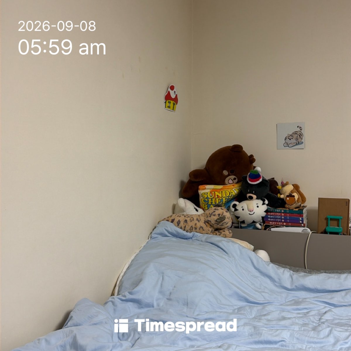 board-img