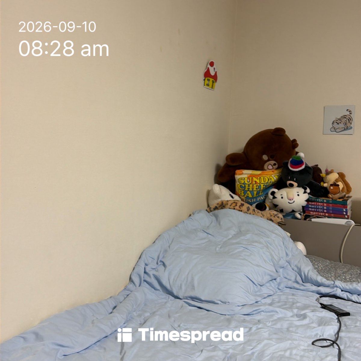 board-img