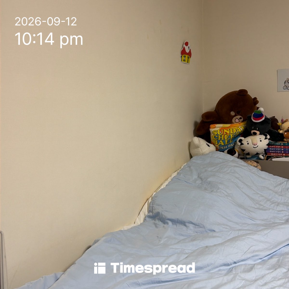 board-img