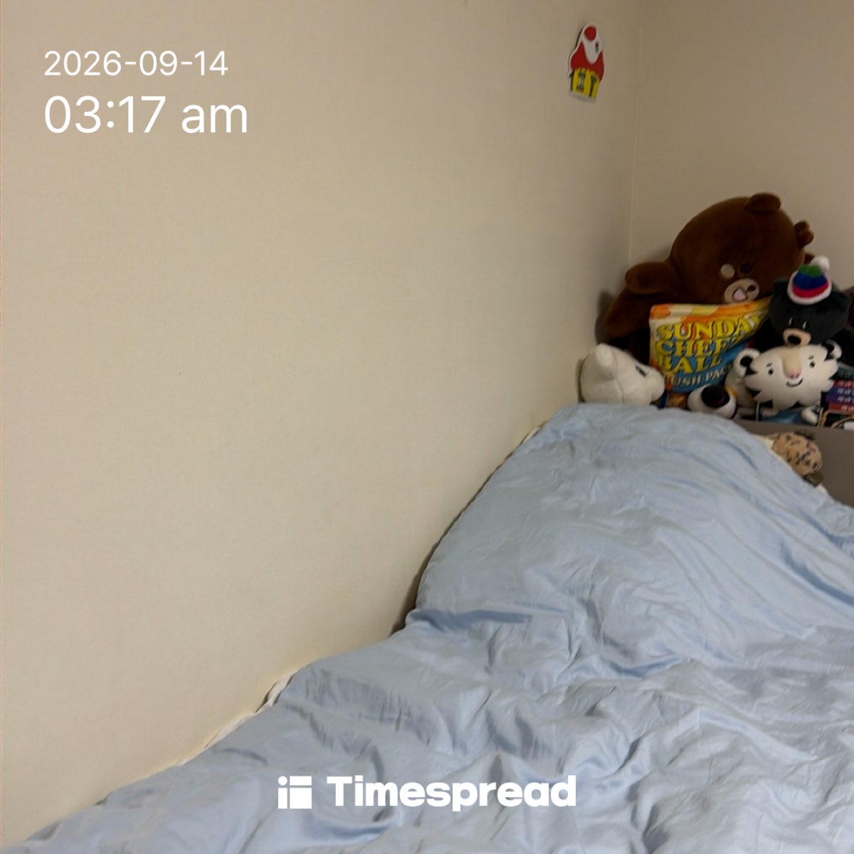 board-img