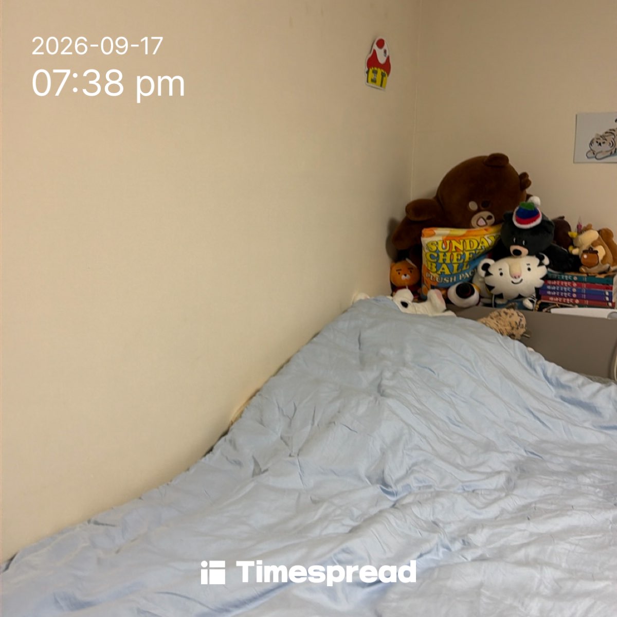 board-img