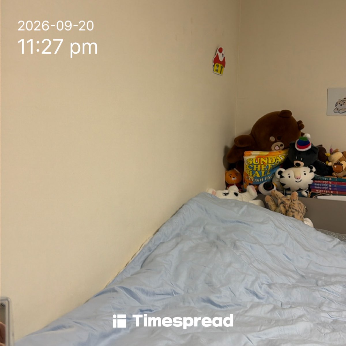 board-img