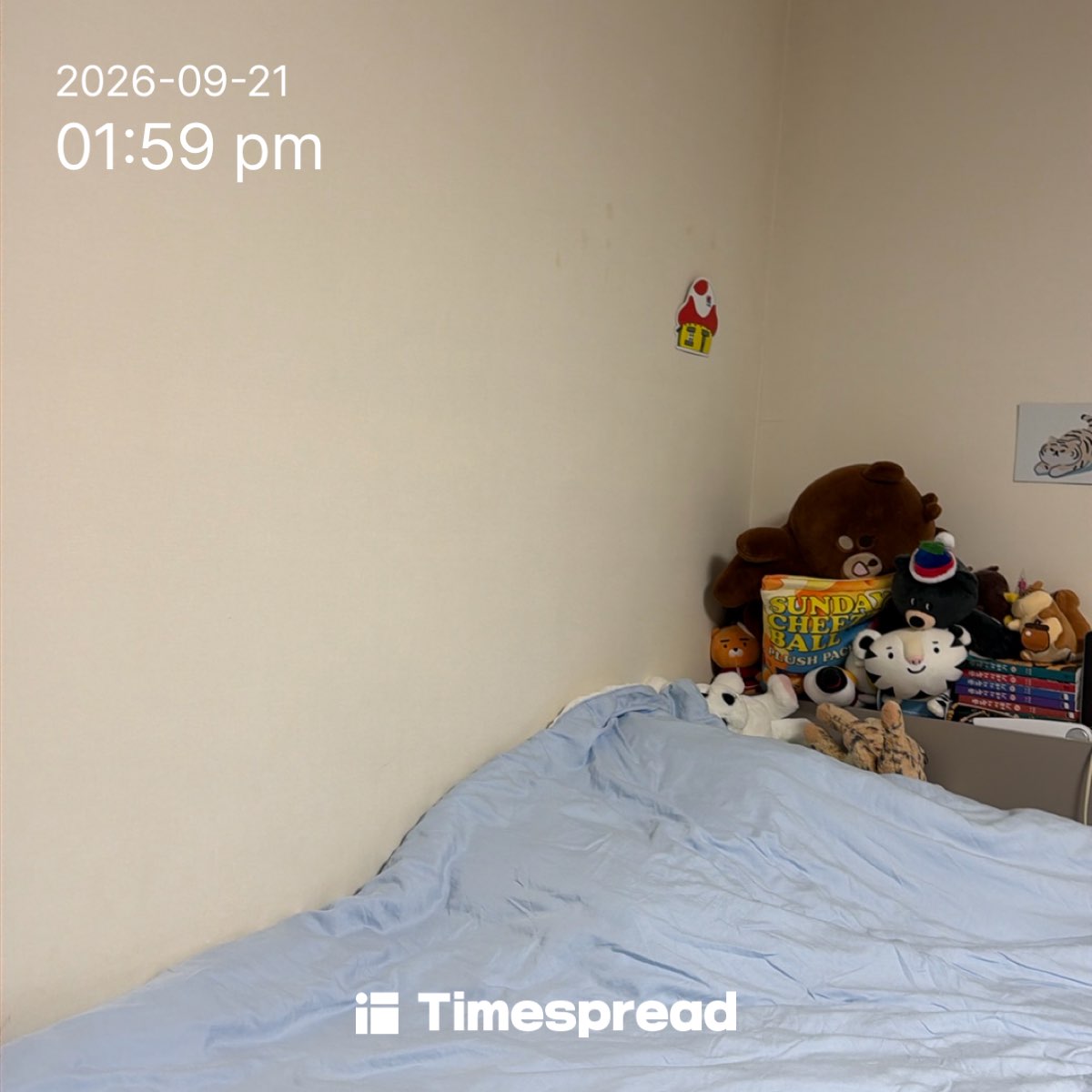 board-img
