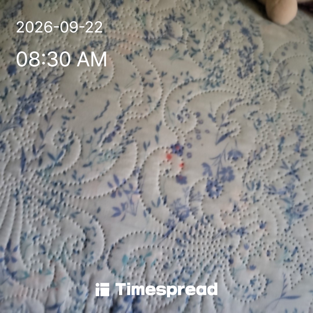 board-img