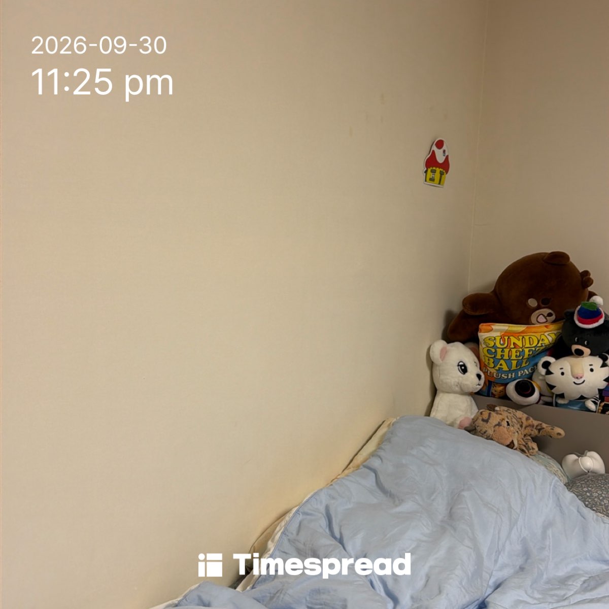 board-img