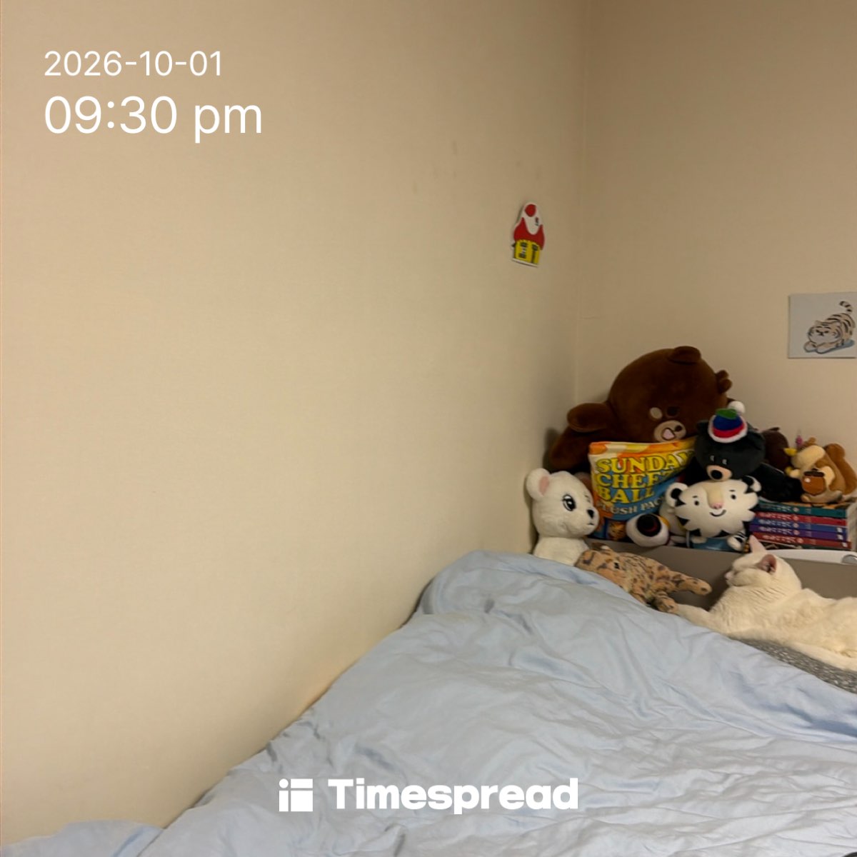 board-img
