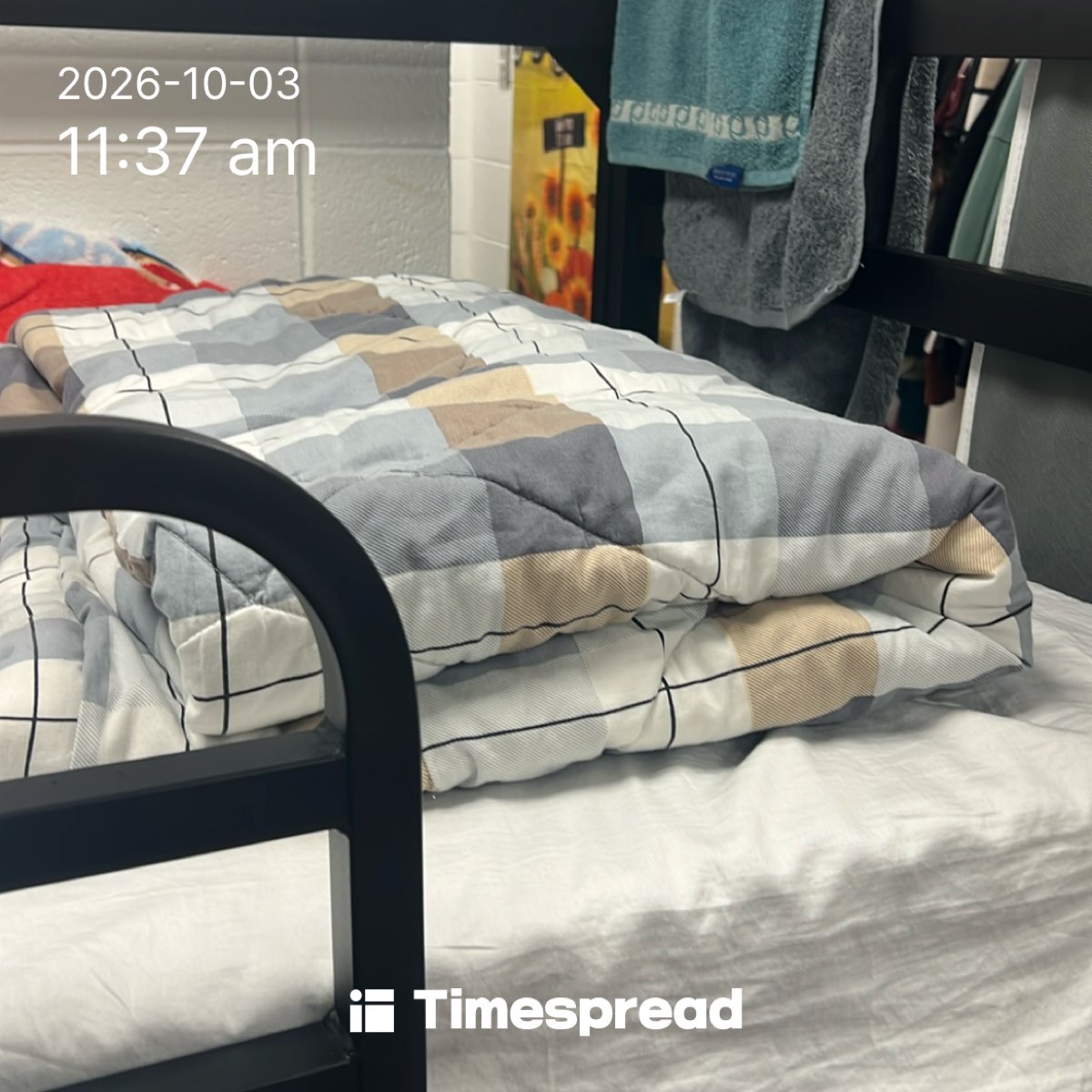 board-img