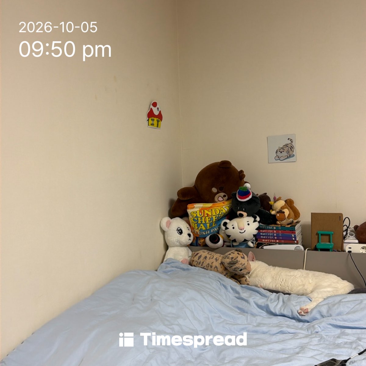 board-img