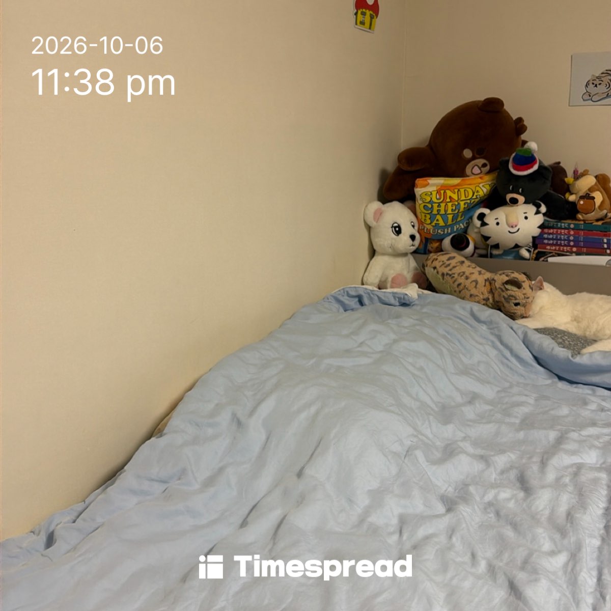 board-img